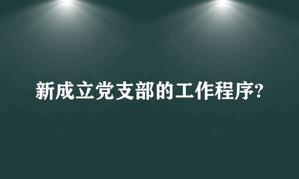 新成立党支部的工作程序?