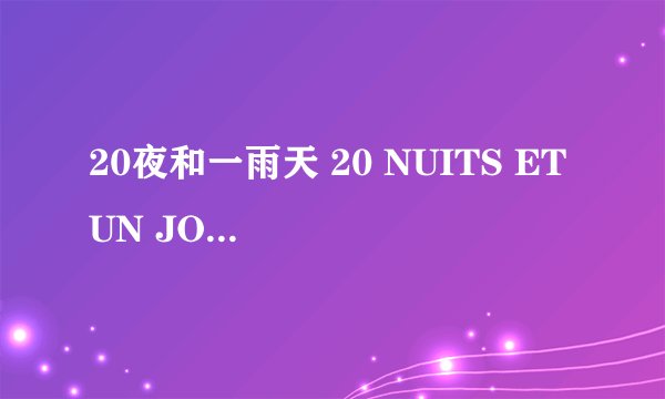 20夜和一雨天 20 NUITS ET UN JOUR DE PLUIE怎么样