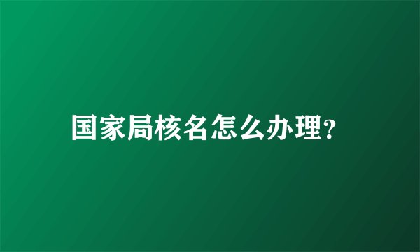 国家局核名怎么办理？