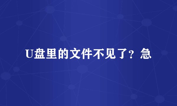 U盘里的文件不见了？急