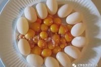 乌龟蛋营养价值？