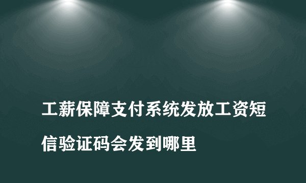 
工薪保障支付系统发放工资短信验证码会发到哪里

