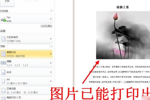 wps表格里插入的图片打印机怎么打印不出来