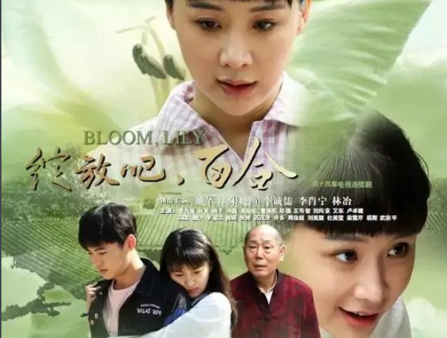 绽放吧百合电视剧剧情介绍