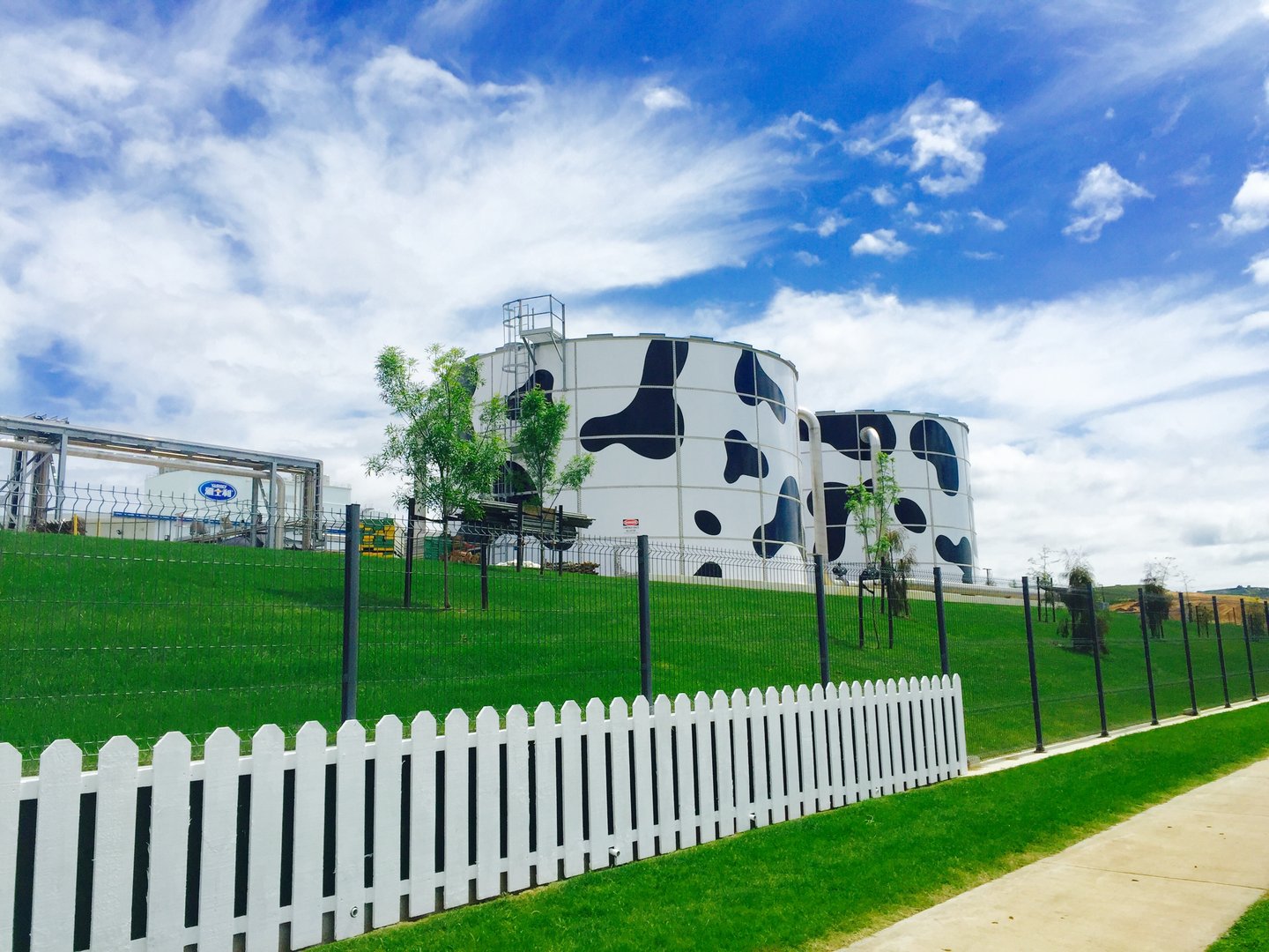 网传蒙牛伊利六大罪状,消费者该怎样擦亮眼睛?