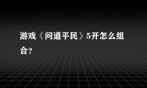 游戏《问道平民》5开怎么组合？