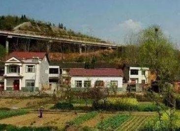 农村乱占耕地建房问题为何屡禁不止？