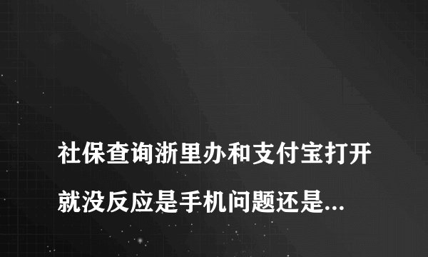 
社保查询浙里办和支付宝打开就没反应是手机问题还是系统问题?

