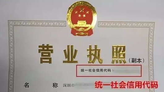 营业执照号和营业执照注册号是一样的吗