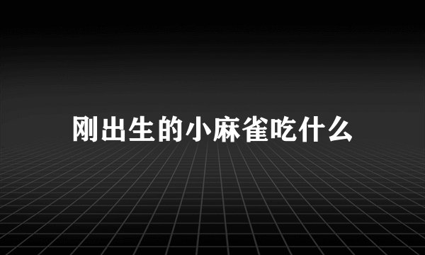 刚出生的小麻雀吃什么