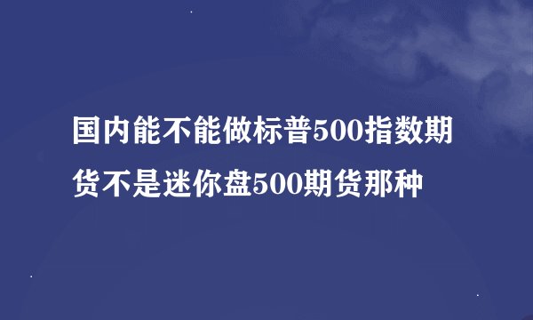 国内能不能做标普500指数期货不是迷你盘500期货那种