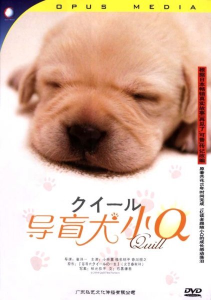 求各大感人电影，催泪，最好哭的死去活来稀里哗啦的！