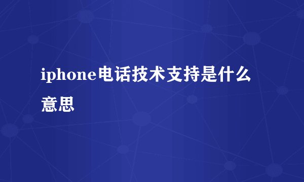 iphone电话技术支持是什么意思