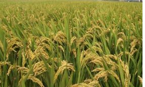 我国在世界上有哪些处于领先地位的科技成果？