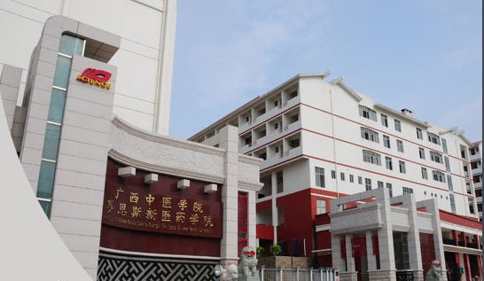 广西中医药大学赛恩斯新医药学院是公立的还是民办学校啊?