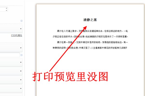 wps表格里插入的图片打印机怎么打印不出来