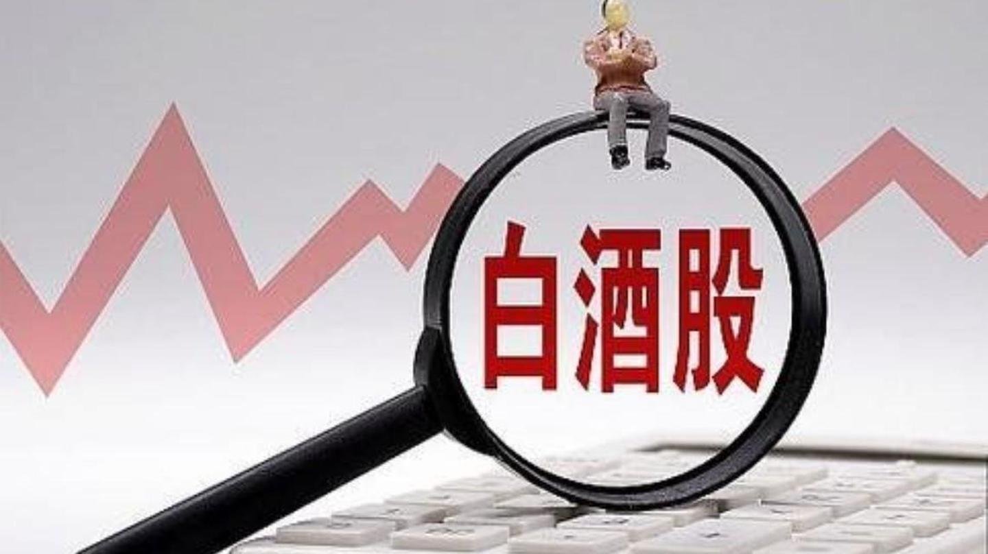 如何看待2021年白酒基金大跌这样的情况呢？