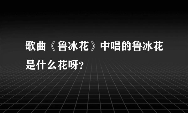 歌曲《鲁冰花》中唱的鲁冰花是什么花呀？