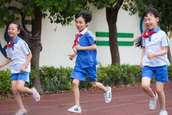 合肥市小学评价学业提供的凭证有误什么意思？