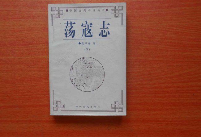 俞万春的《荡寇志》主要描述怎样的内容？