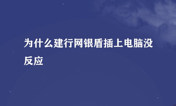 为什么建行网银盾插上电脑没反应