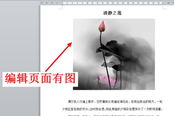 wps表格里插入的图片打印机怎么打印不出来