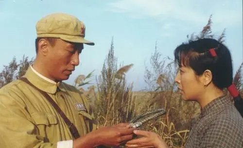 军歌嘹亮高大山为什么不回故乡