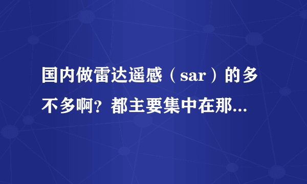 国内做雷达遥感（sar）的多不多啊？都主要集中在那几个学校啊？