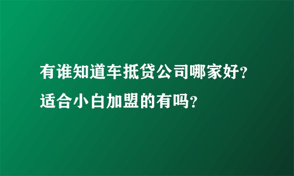 有谁知道车抵贷公司哪家好？适合小白加盟的有吗？