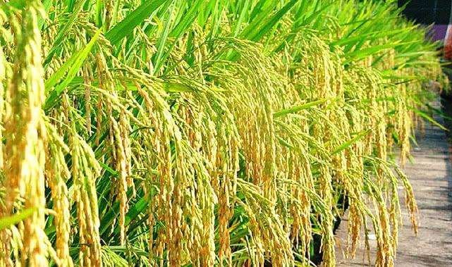 够的四字组词有哪些