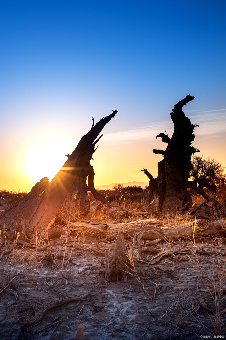 九月旅游最适合去哪个城市？