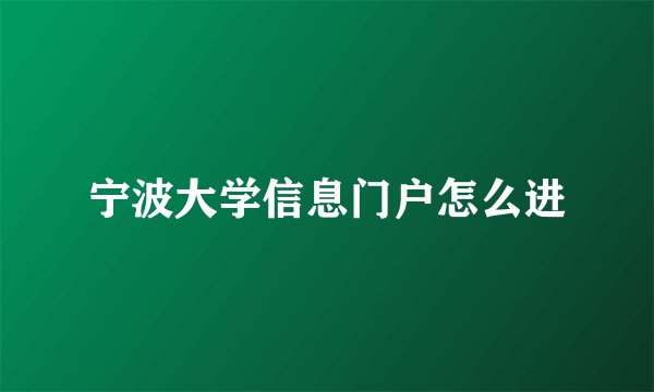 宁波大学信息门户怎么进