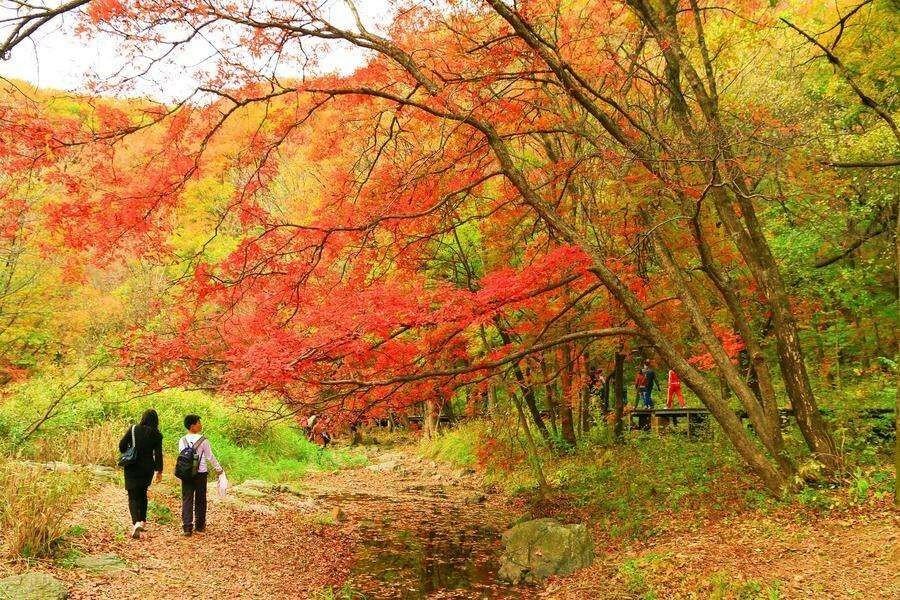 如果去甘肃张掖市旅游，哪个季节是最适合的？