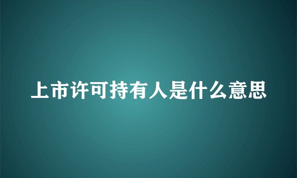 上市许可持有人是什么意思