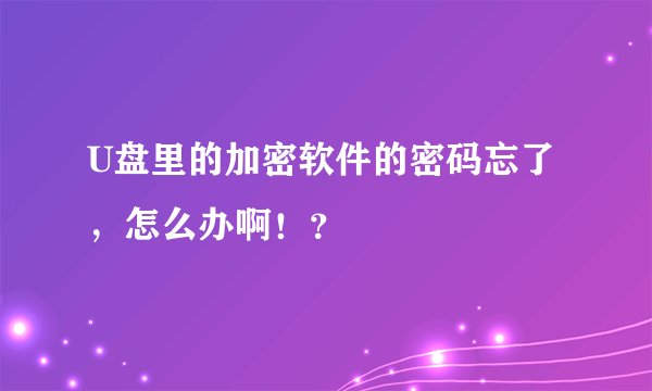 U盘里的加密软件的密码忘了，怎么办啊！？