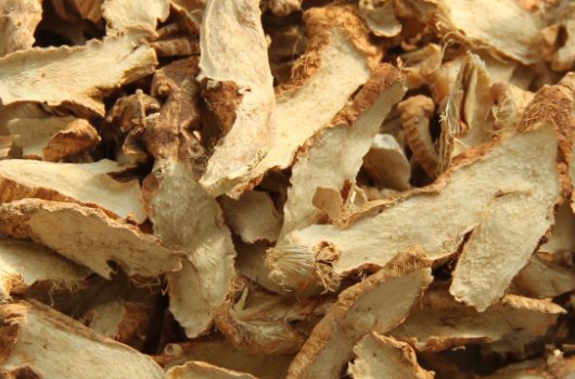 网上有没有免费开网店的