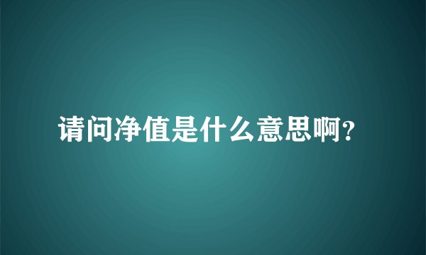 请问净值是什么意思啊？