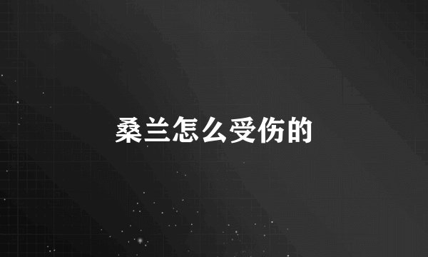 桑兰怎么受伤的