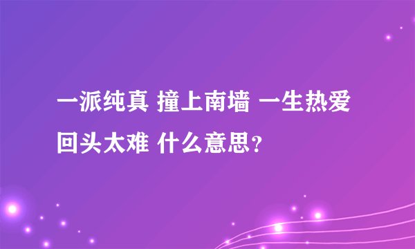 一派纯真 撞上南墙 一生热爱 回头太难 什么意思？