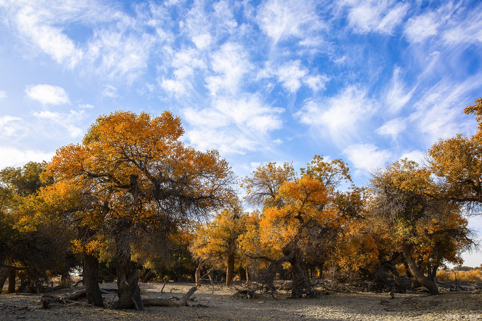 九月旅游最适合去哪个城市?