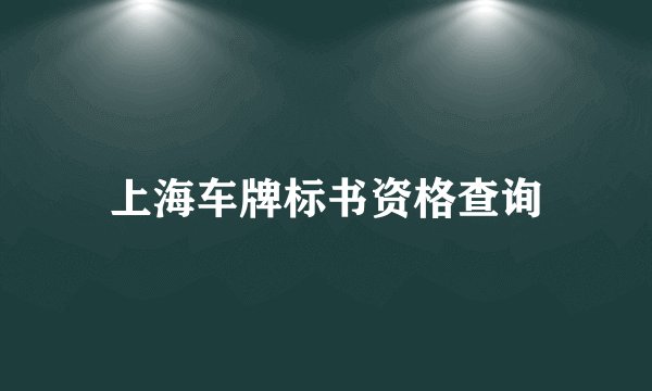 上海车牌标书资格查询