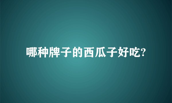 哪种牌子的西瓜子好吃?