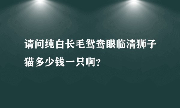 请问纯白长毛鸳鸯眼临清狮子猫多少钱一只啊？