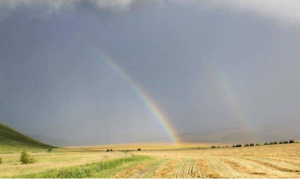 呼伦贝尔大草原都有哪些不错的旅游景点？