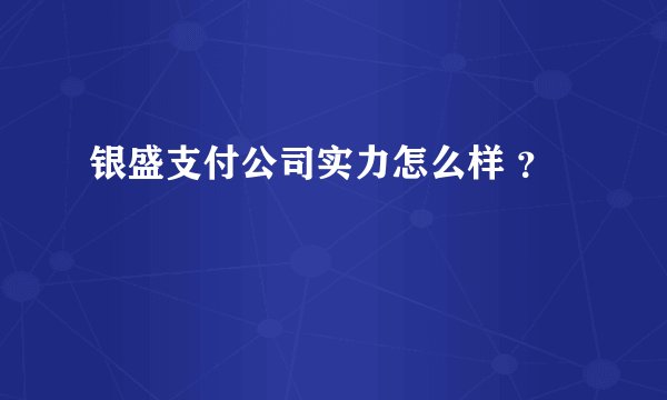 银盛支付公司实力怎么样 ？
