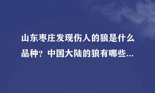 山东枣庄发现伤人的狼是什么品种？中国大陆的狼有哪些品种？几级保护动物？