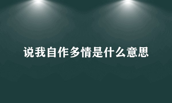 说我自作多情是什么意思
