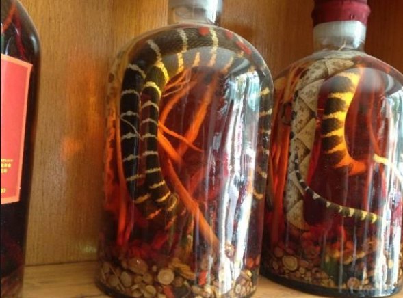 蛇酒的功能和作用是什么？