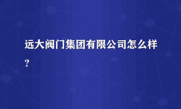 远大阀门集团有限公司怎么样？
