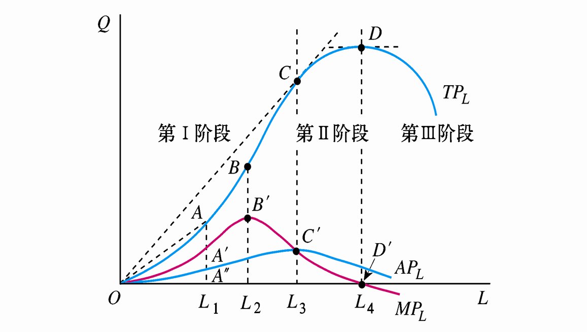 西方经济学中总产量、平均产量和边际产量相互之间的关系？谢谢啊